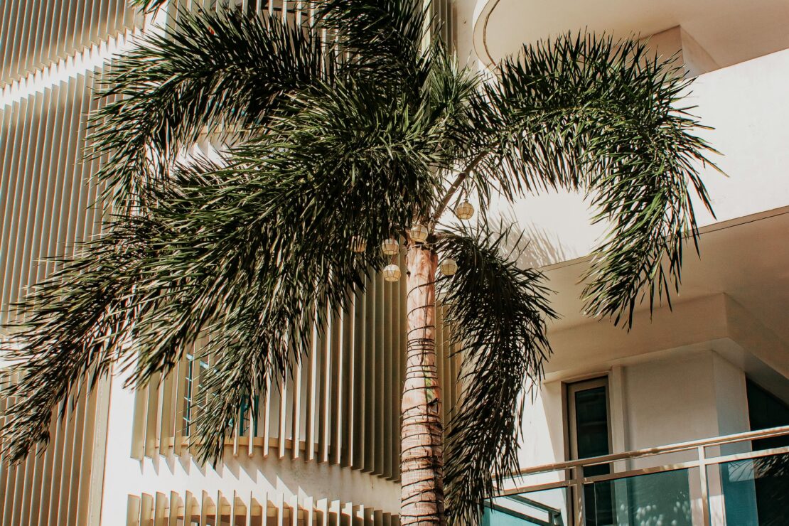  Pourquoi Investir dans un Appart-Hôtel à Batumi ?