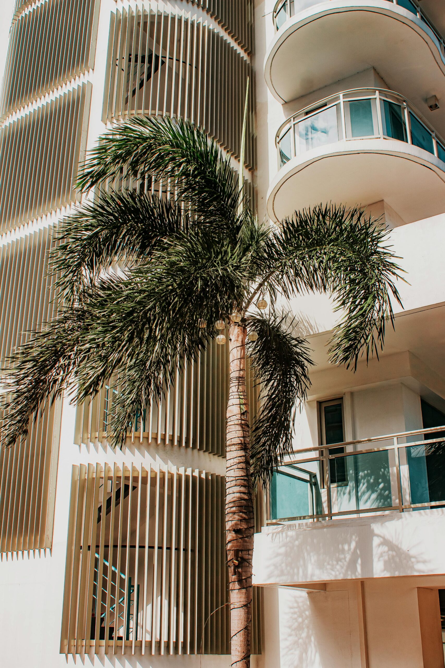 Pourquoi Investir dans un Appart-Hôtel à Batumi ?